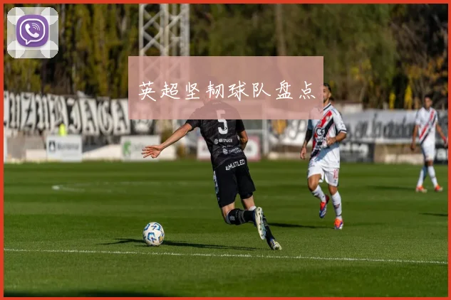 英超坚韧球队盘点
